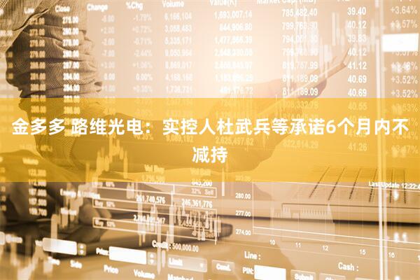 金多多 路维光电：实控人杜武兵等承诺6个月内不减持