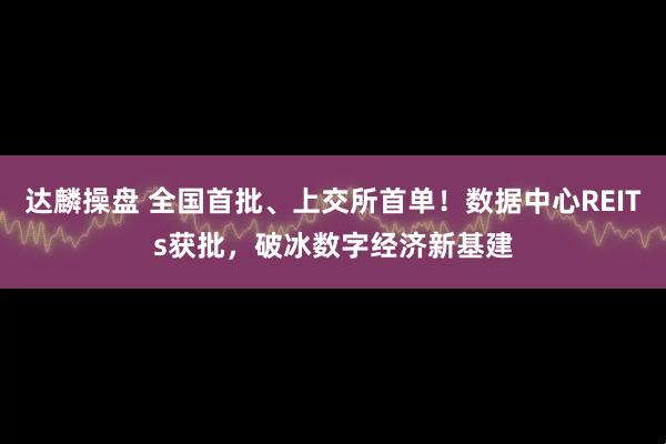 达麟操盘 全国首批、上交所首单！数据中心REITs获批，破冰数字经济新基建