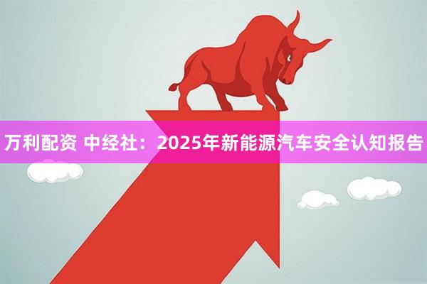 万利配资 中经社：2025年新能源汽车安全认知报告