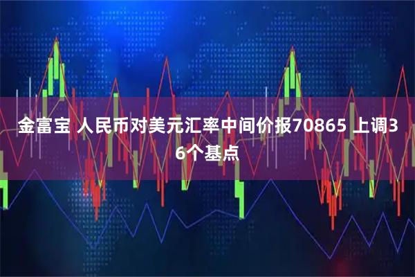 金富宝 人民币对美元汇率中间价报70865 上调36个基点